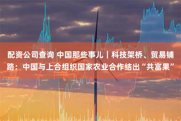 配资公司查询 中国那些事儿｜科技架桥、贸易铺路：中国与上合组织国家农业合作结出“共富果”