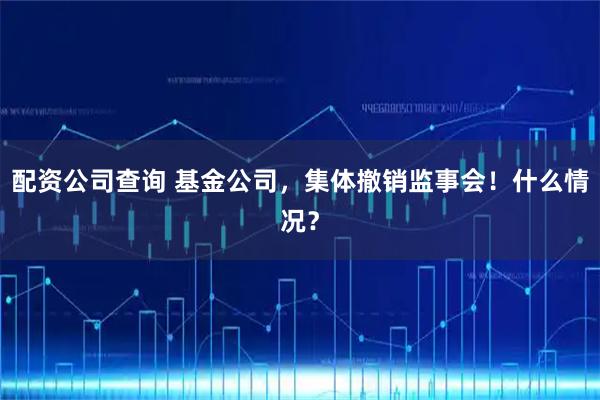 配资公司查询 基金公司，集体撤销监事会！什么情况？